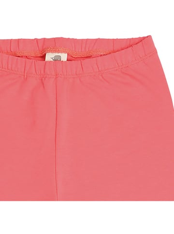 Walkiddy Leggings in Pink