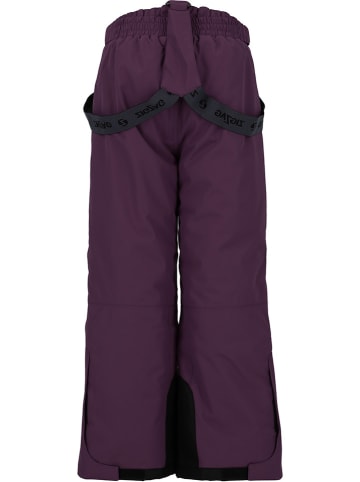 Zigzag Ski-/ Snowboardhose "Provo" in Lila