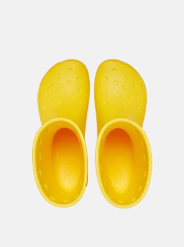 Crocs Kalosze "Classic" w kolorze żółtym