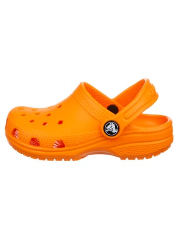Crocs Chodaki w kolorze pomarańczowym