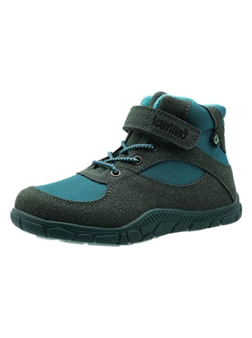 lamino Barefootschoenen turquoise/groen