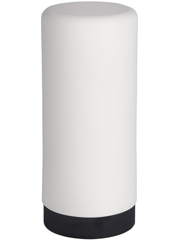 Wenko Dozownik "Easy Squeez-e" w kolorze białym na płyn do naczyń - 250 ml