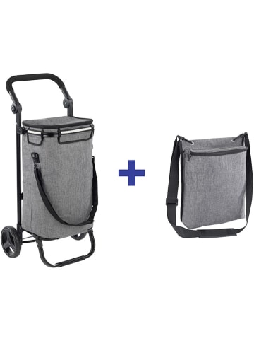 Wenko Boodschappentrolley grijs - (B)45 x (H)95 x (D)28 cm