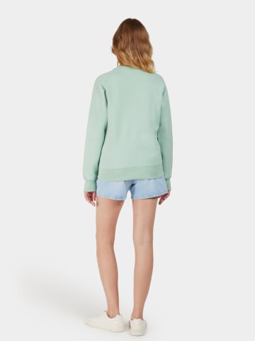 Didriksons Sweatshirt "Fyn" in Mint