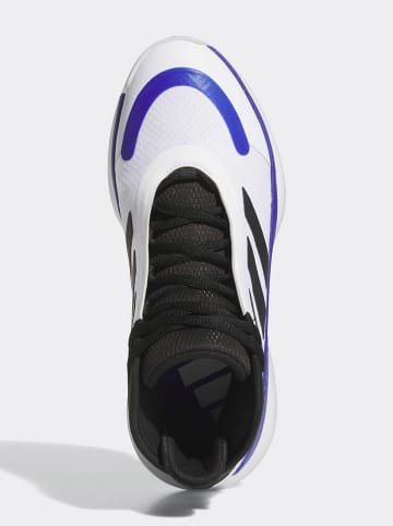 adidas Buty sportowe w kolorze biało-niebiesko-czarnym