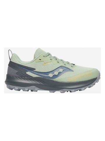 Saucony Laufschuhe "Peregrine 14 GTX" in Mint/ Grau