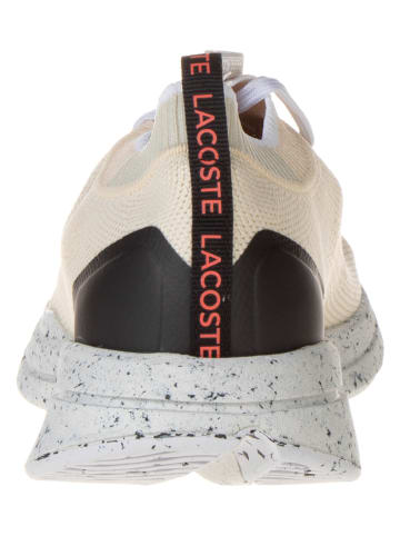 Lacoste Sneakers in Beige/ Schwarz