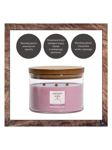 Nature's Wick by WoodWick Świeca zapachowa "Woodland Rose" - 433 g