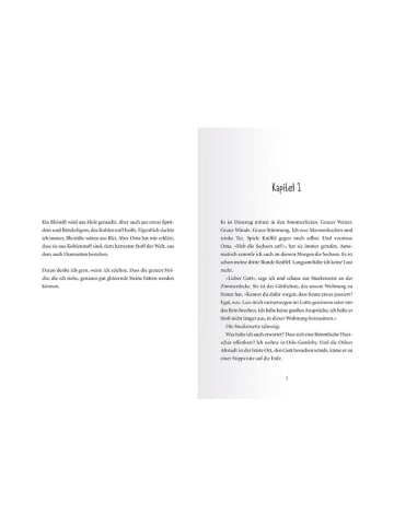 Ravensburger Jugendroman "Bleistiftherz"