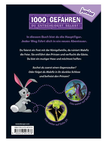 Ravensburger Kinderroman "1000 Gefahren - Der Fluch der bösen Fee"