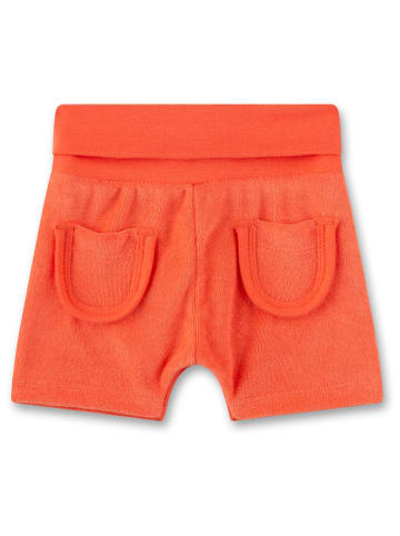 Sanetta Kidswear Szorty w kolorze pomarańczowym