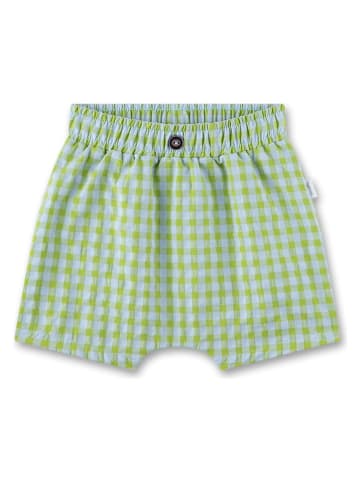 Sanetta Kidswear Short groen/lichtblauw