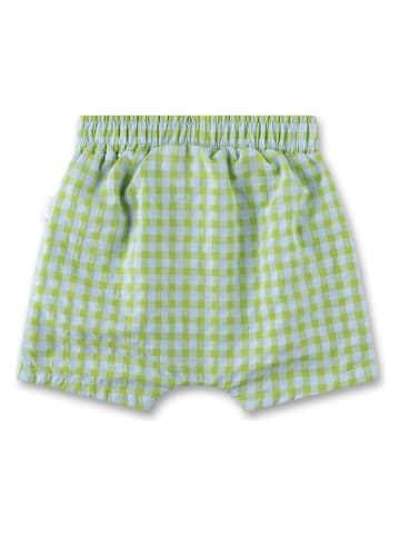 Sanetta Kidswear Short groen/lichtblauw