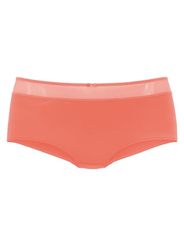nuance Panty in Orange