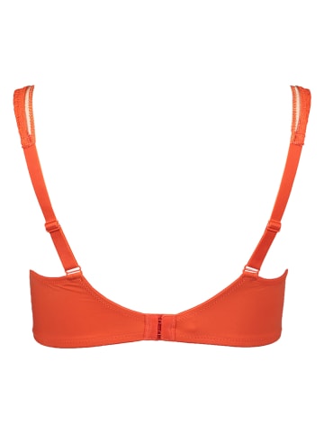 nuance Minimizer-BH in Orange