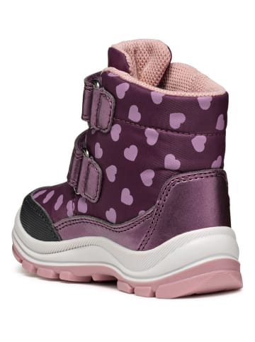 Geox Boots "Flanfil" violet/lichtroze