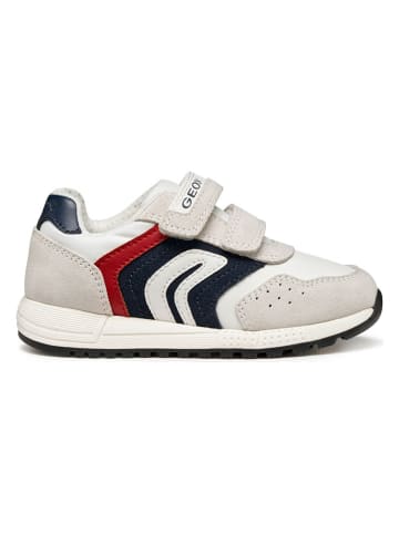 Geox Sneakers "Alben" in Creme