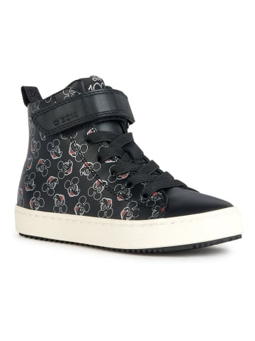 Geox Sneakers "Kalispera" in Schwarz