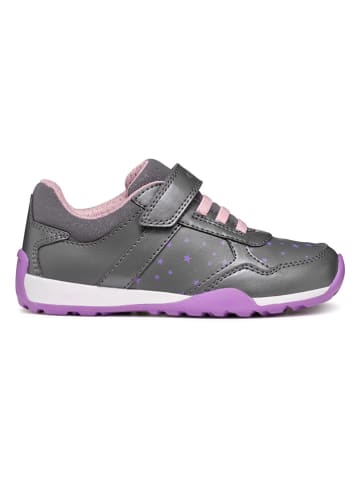 Geox Sneakers "Jocker Plus" in Grau/ Lila