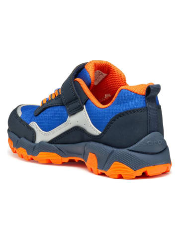 Geox Buty trekkingowe "Magnetar" w kolorze niebiesko-pomarańczowym
