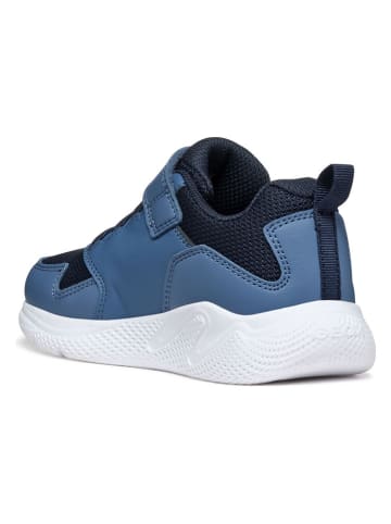 Geox Sneakers "Sprintye" in Blau/ Schwarz