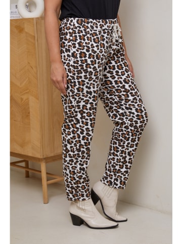 Curvy Lady Broek wit/bruin