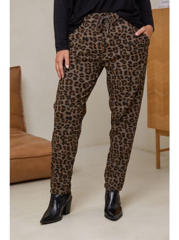 Curvy Lady Broek donkerbruin