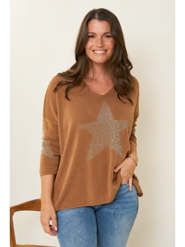 Curvy Lady Pullover in Hellbraun
