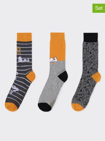 admas 3-delige set: sokken grijs/geel