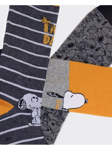 admas 3-delige set: sokken grijs/geel