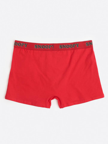 admas Bokserki w kolorze czerwonym