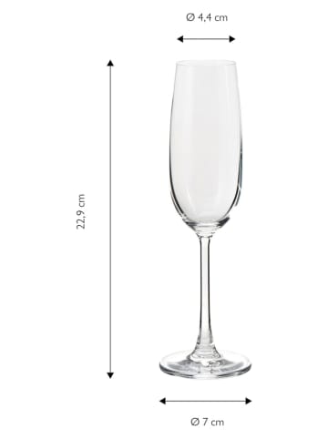 Echtwerk 6-delige set: champagneglazen - 210 ml