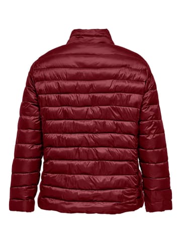 ONLY Steppjacke in Bordeaux