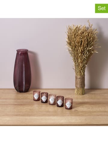 Ethnical Life 5er-Set: Duftkerzen in Nude, 5x 80 g