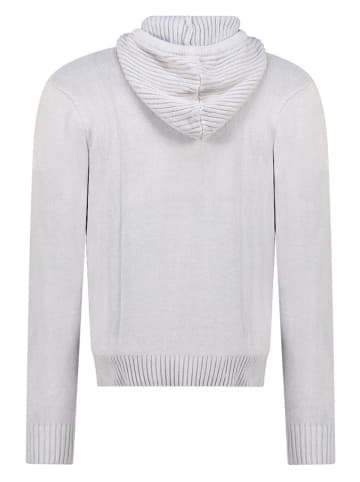 Geographical Norway Pullover "Flicker" in Grau