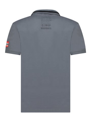 Geographical Norway Koszulka polo "Karuen" w kolorze szarym