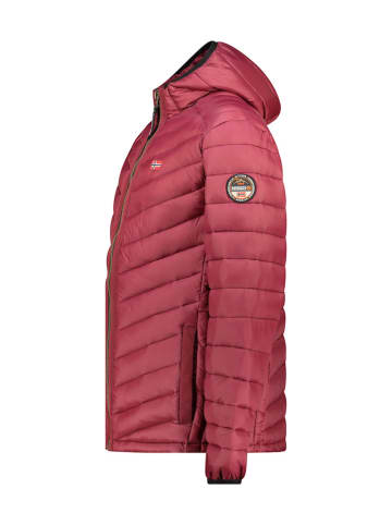 Geographical Norway Steppjacke "Carliti" in Bordeaux