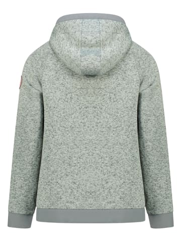 Geographical Norway Fleecejacke "Tocket" in Grau