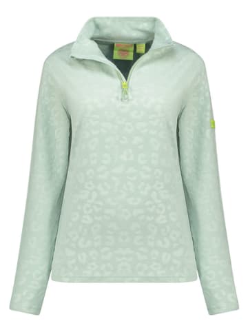 Geographical Norway Fleecepullover in Grün