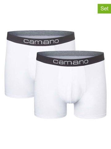 camano 2-delige set: boxershorts wit