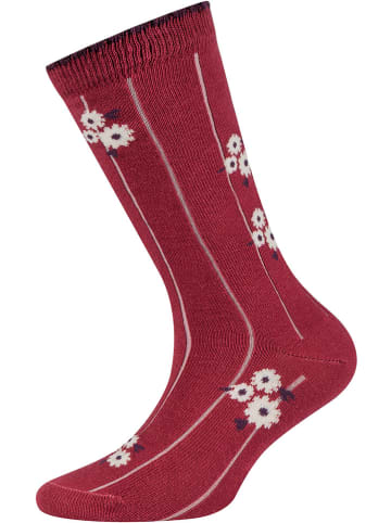 s.Oliver 5-delige set: sokken beige/rood/paars