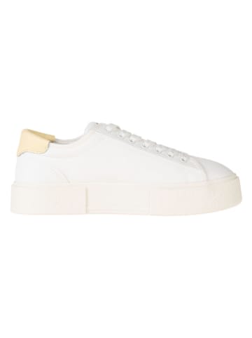 Tommy Hilfiger Sneakers in Creme