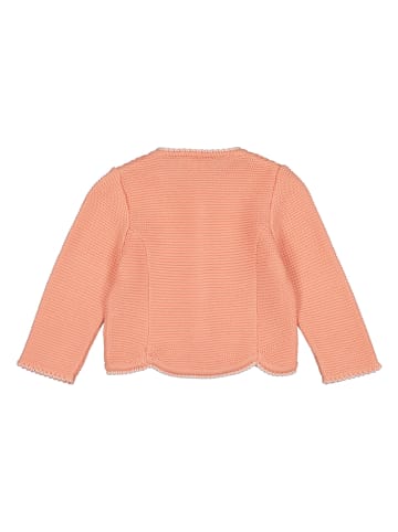 Isartrachten Janker in Apricot