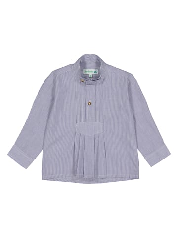 Isartrachten Trachtenhemd in Blau/ Weiß