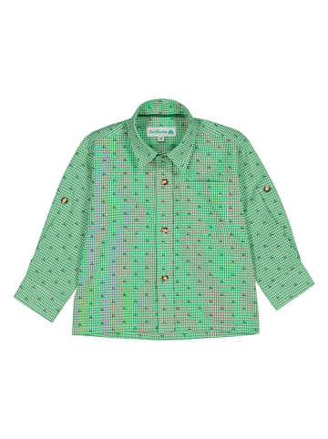 Isartrachten Trachtenhemd in Grün