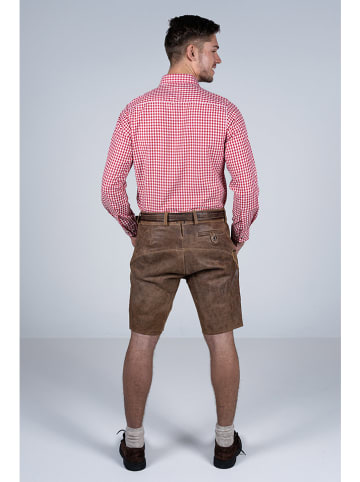 Edelnice Lederhose "Thomas" in Braun