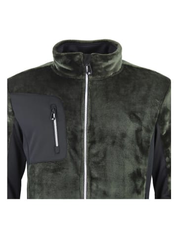 Peak Mountain Fleecejacke "Chapeau" in Grün