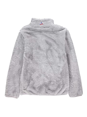 Peak Mountain Fleece vest grijs