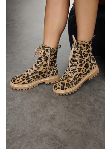 trendyol Boots bruin/beige