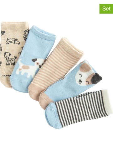 COOL CLUB 5er-Set: Socken in Beige/ Hellblau